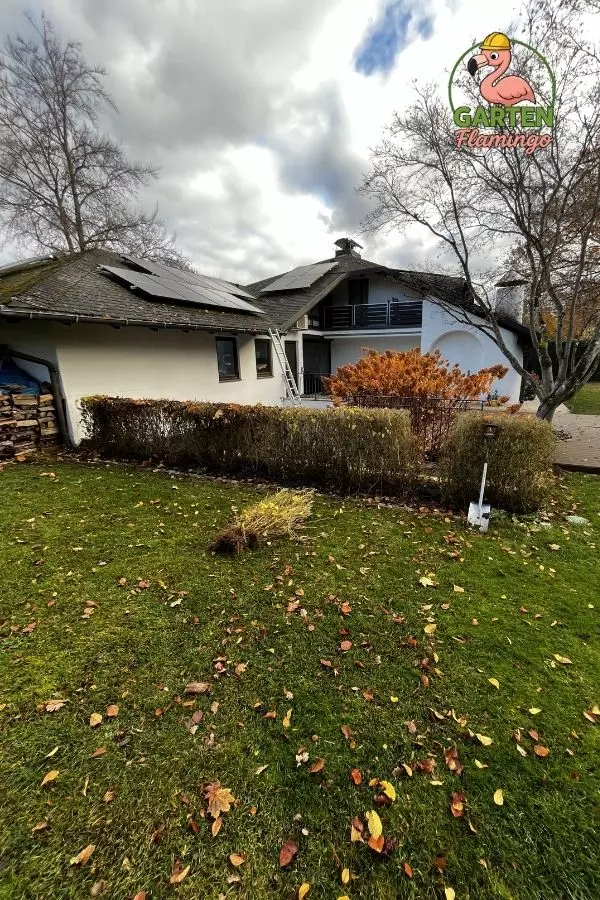 Nachher