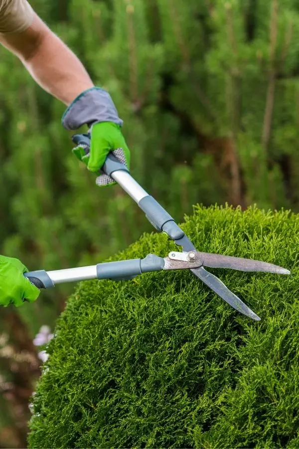 Rasenmäher beim Rasenmähen in einem gepflegten Garten – professionelle Rasenpflege in Waldkraiburg und Mühldorf am Inn