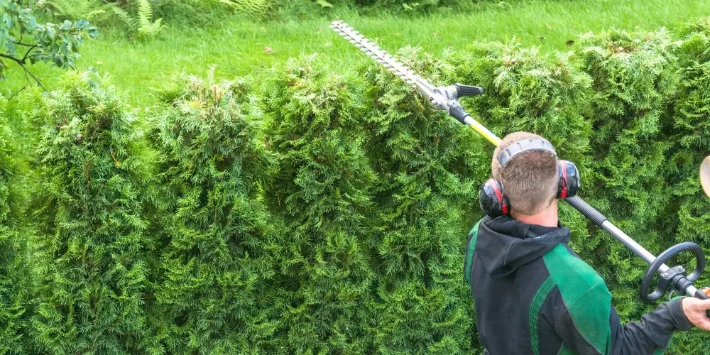 Heckenschnitt Erding – Gartenflamingo Professioneller Heckenschnitt in Erding durch Gartenflamingo