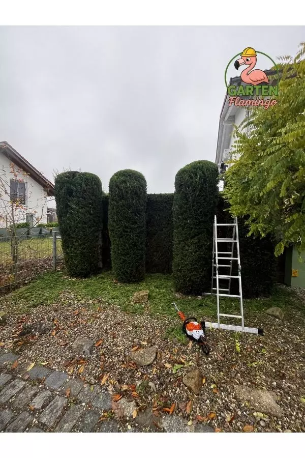 Vorher