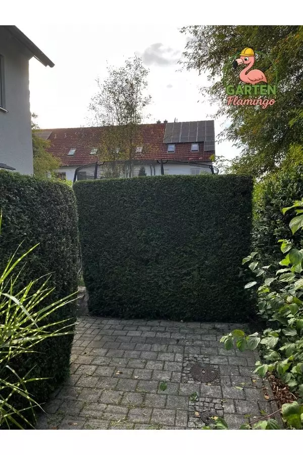 Vorher