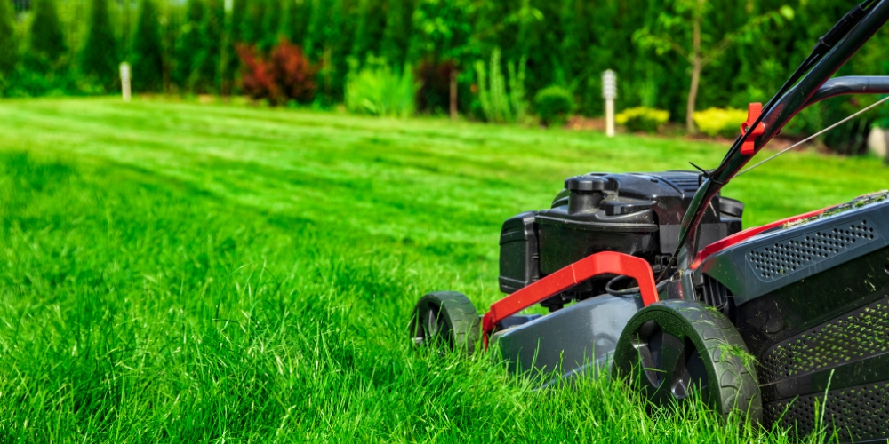 Professionelle Rasenpflege in Mühldorf am Inn durch Gartenflamingo