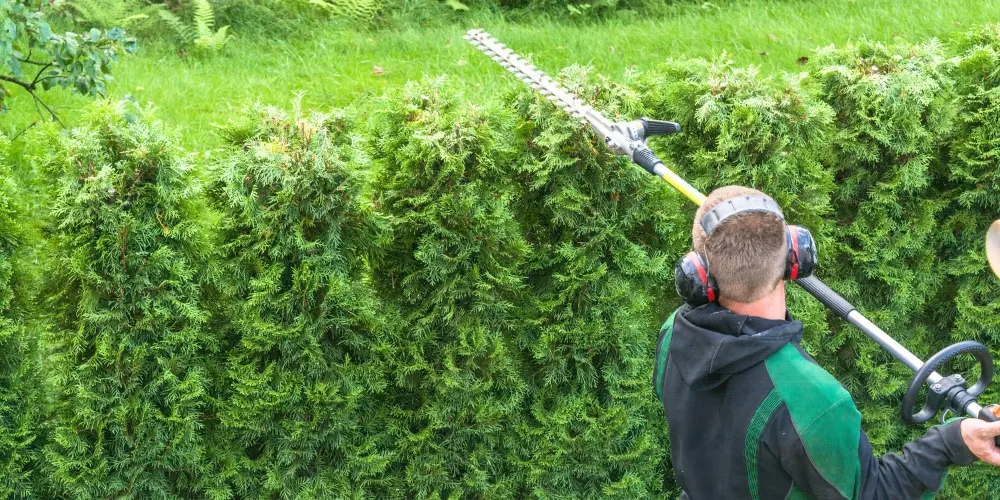 Professioneller Heckenschnitt im Garten Heckenschnitt mit motorisierter Heckenschere – professionelle Heckenpflege im Landkreis Erding und Lengdorf.
