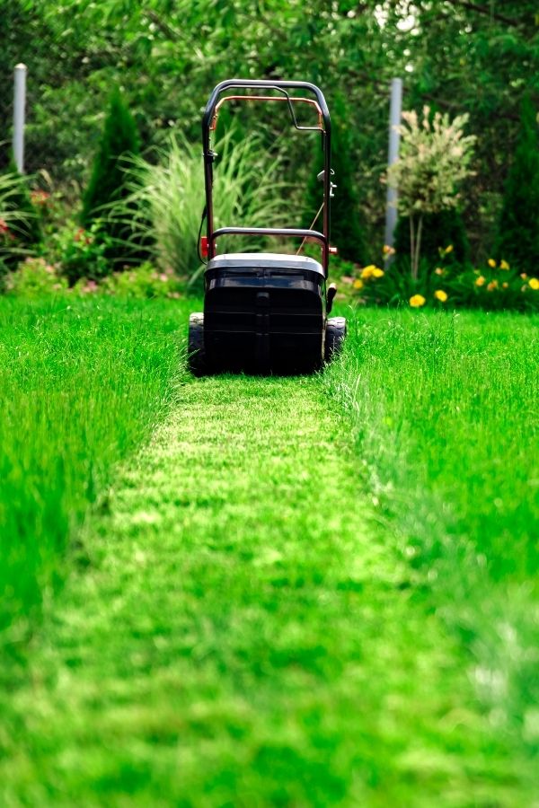Rasenmähen bei der professionellen Gartenpflege in Dorfen durch Gartenflamingo